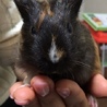 ひなたぼっち