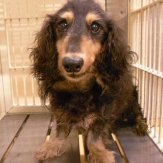 今日助けないと…助かりました(*´ω｀*)