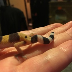 「奇形なのかな？」サムネイル3