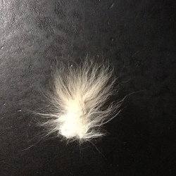 「なんじゃコレ⁈」サムネイル1