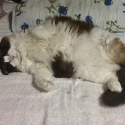 「なんじゃコレ⁈」サムネイル2