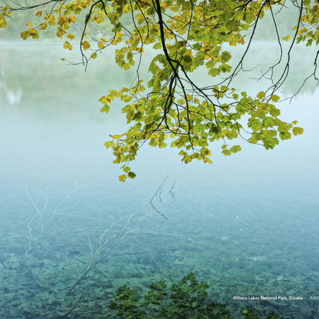 猫ぼっち☆のカバー写真