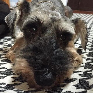 とても元気で活発な男の子♪