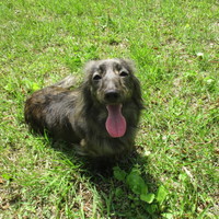 ＡＭＧ (ｴｰ･ｴﾑ･ｼﾞｰ)