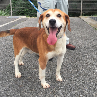 家族が出来ました。