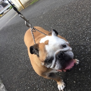 沢山のご応募有難う御座いました