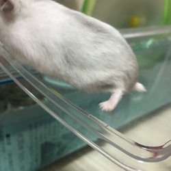 イレギュラー！(T_T)
