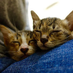 暑い真夏に涼しいホラー。。