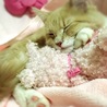 ねこ789101さん