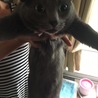 の写真