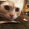 袋に入ってすっっ>_<