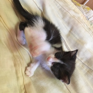 やんちゃな男の子です