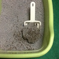 「尿量の差がこんなに…」サムネイル1