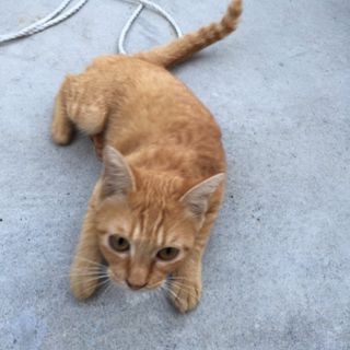 逃げてしまいました(>_<)