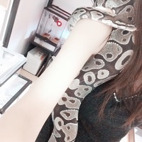 ボールパイソン