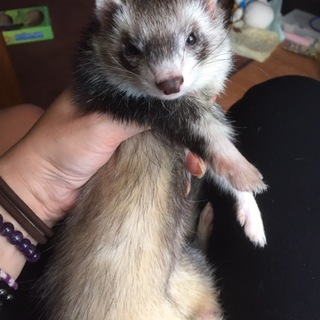 沢山のお申し込みありがとうございました！