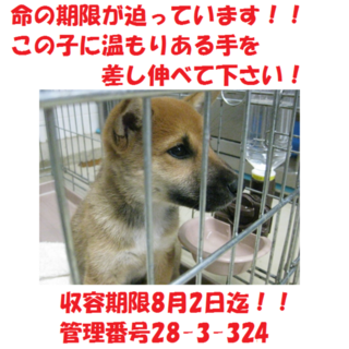 素敵なご家族に出会えました(^_-)-☆感謝です♪