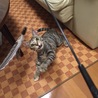 の写真