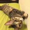 の写真