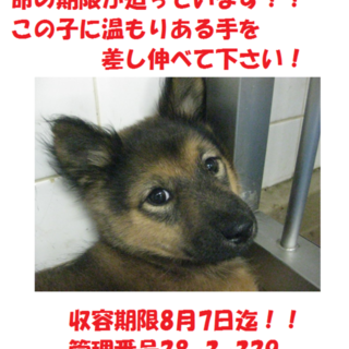 お迎えがありました！有り難うございます(^^♪