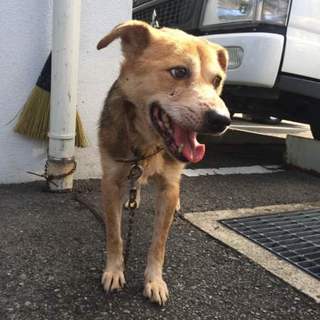 更新！亡くなった為、終了します。