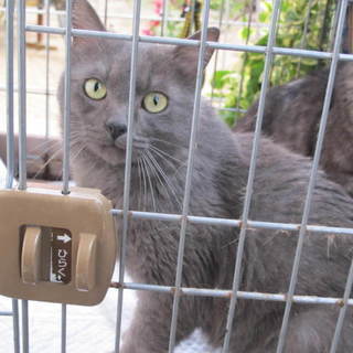 帰る家がありません！ププちゃん♂