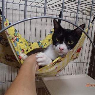 たー坊の幸せ探し。