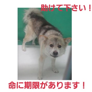 とても素敵な家族のもとへ!!ありがとうございます