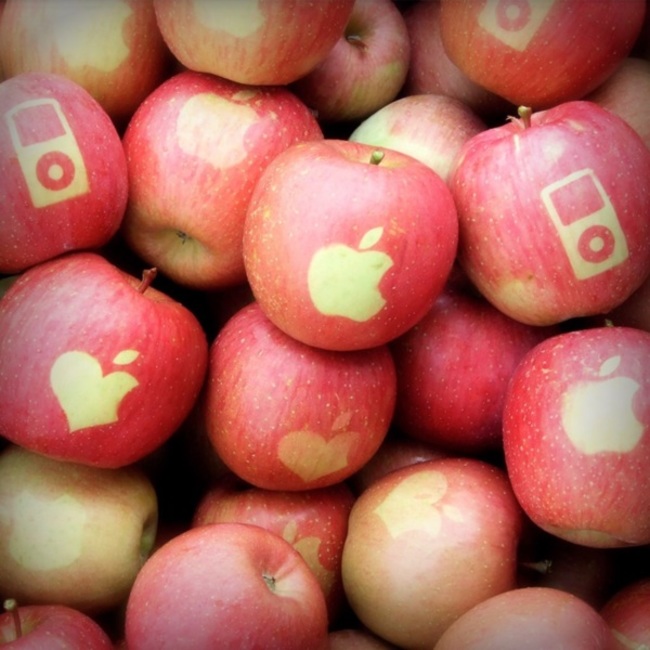 簣のカバー写真