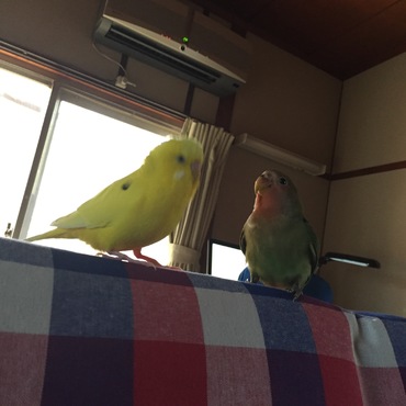 の写真