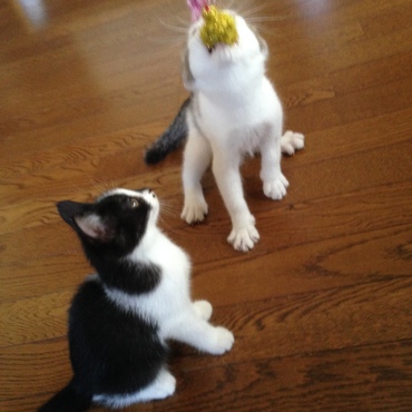 パクリ！