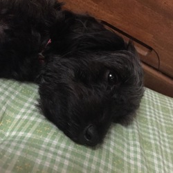 おつかれななちゃん