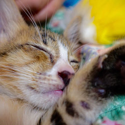 毎日がシャッターチャンス！！