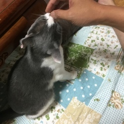 デレ・モード発動