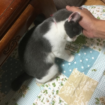 デレ・モード発動中