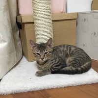 オウ マイ ココア