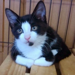 トライアル中止で帰ってきました①