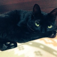 社長