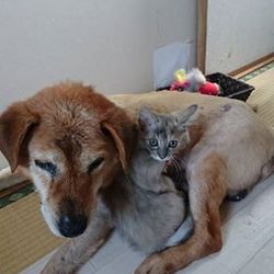 今日もいっしょ