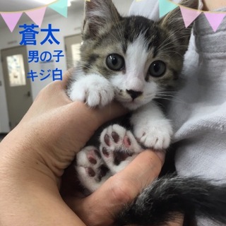 可愛すぎる蒼太くん ♫