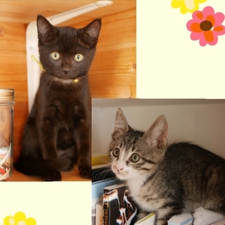 決まりました☆