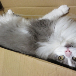 気になるあの子