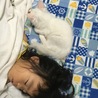 7/16 一緒に寝ますにゃ