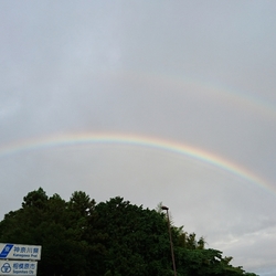 「犬の散歩で」サムネイル2