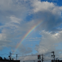 「犬の散歩で」サムネイル1
