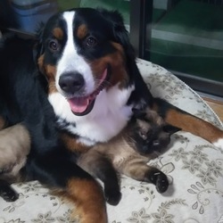 保護活動記と異種飼育とマーキング癖