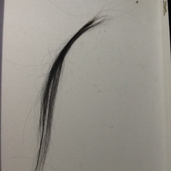 「またやってもうた！」サムネイル1