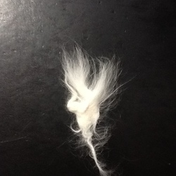 「またやってもうた！」サムネイル2