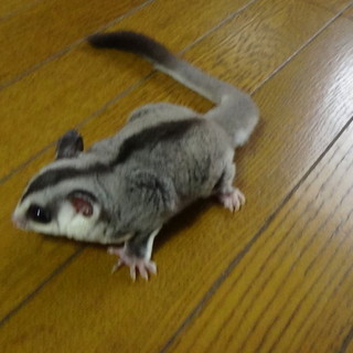 たくさんのご応募ありがとうございました！