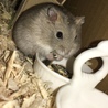 すごーく可愛く撮れた！
